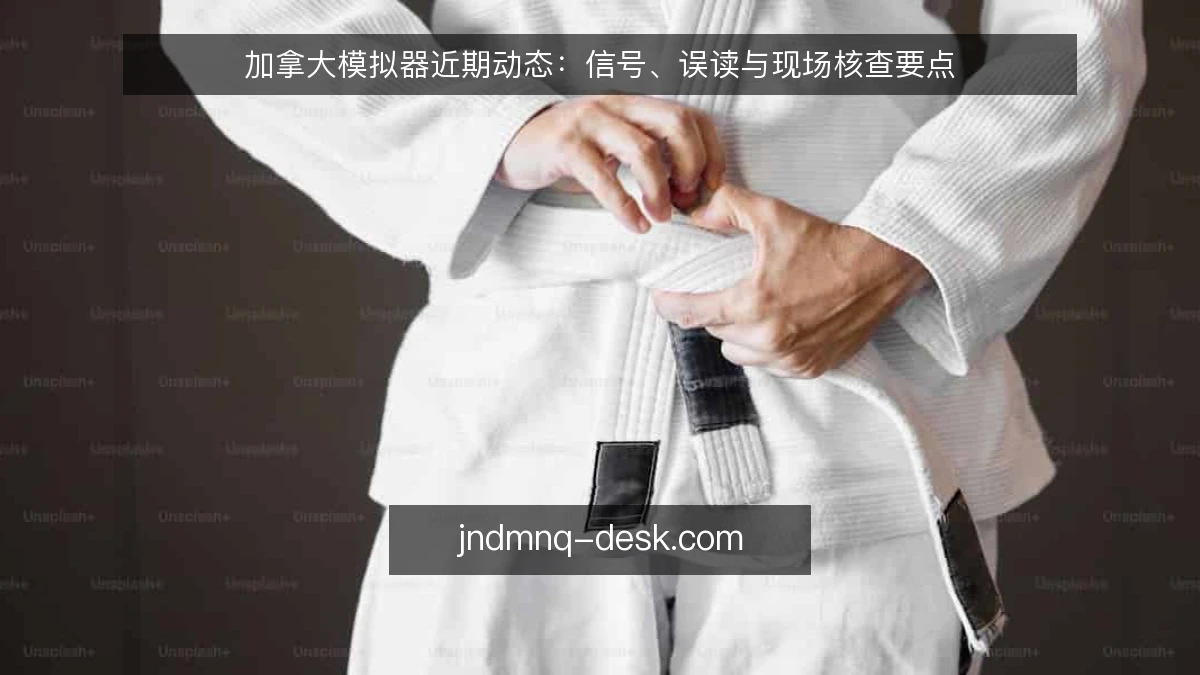 加拿大模拟器近期动态:信号、误读与现场核查要点