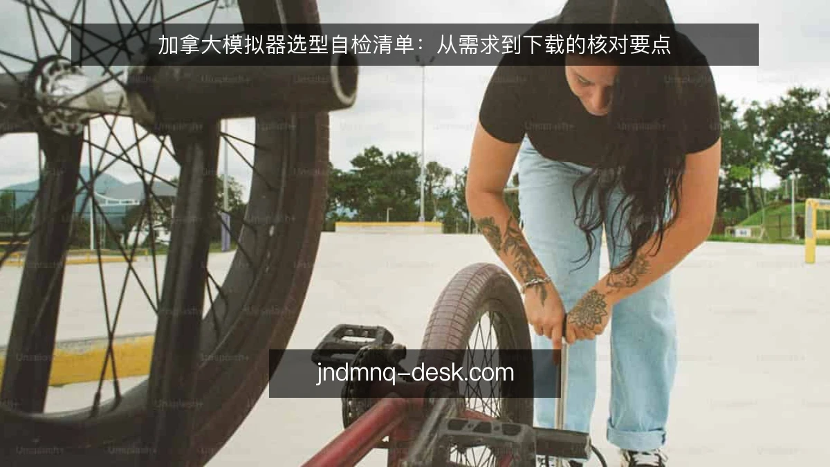 加拿大模拟器选型自检清单：从需求到下载的核对要点