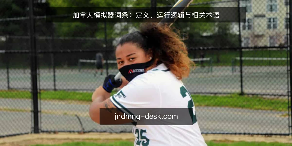 加拿大模拟器词条：定义、运行逻辑与相关术语 — 加拿大模拟器是什么：术语定义 配图