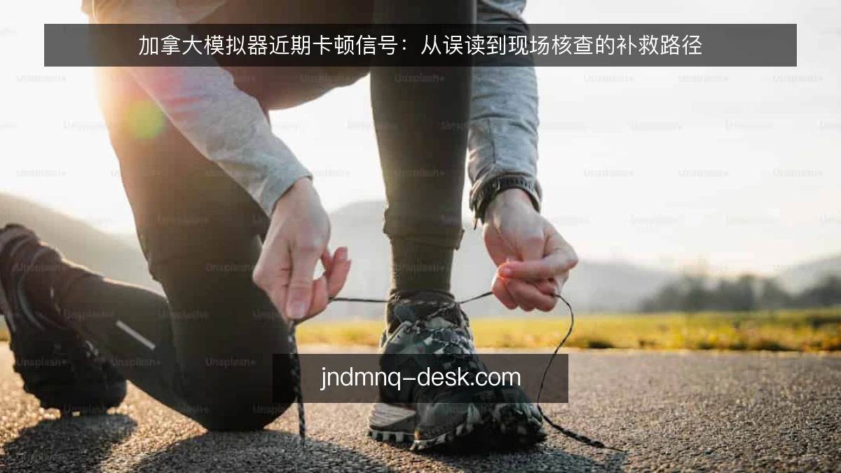 加拿大模拟器近期卡顿信号：从误读到现场核查的补救路径